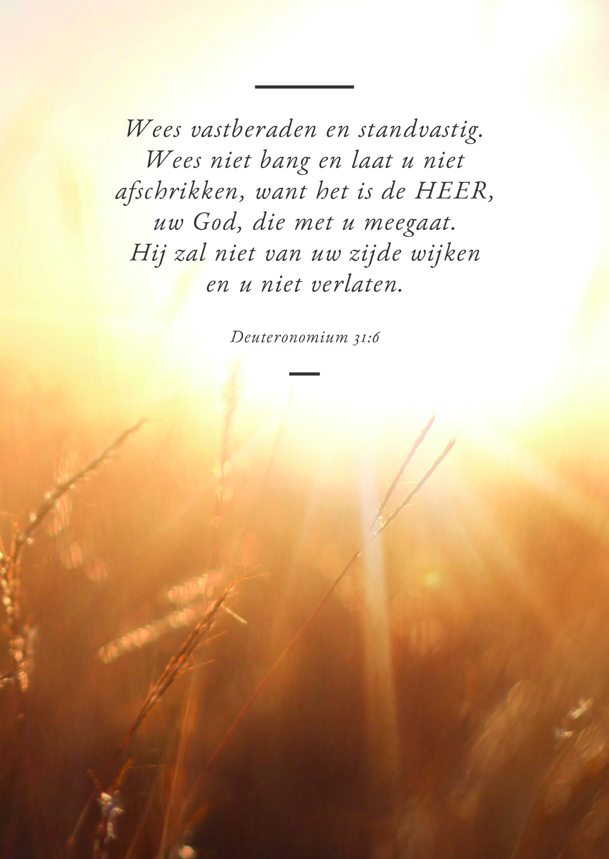 Poster A4 Wees vastberaden