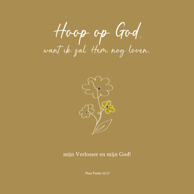 Hoop op God