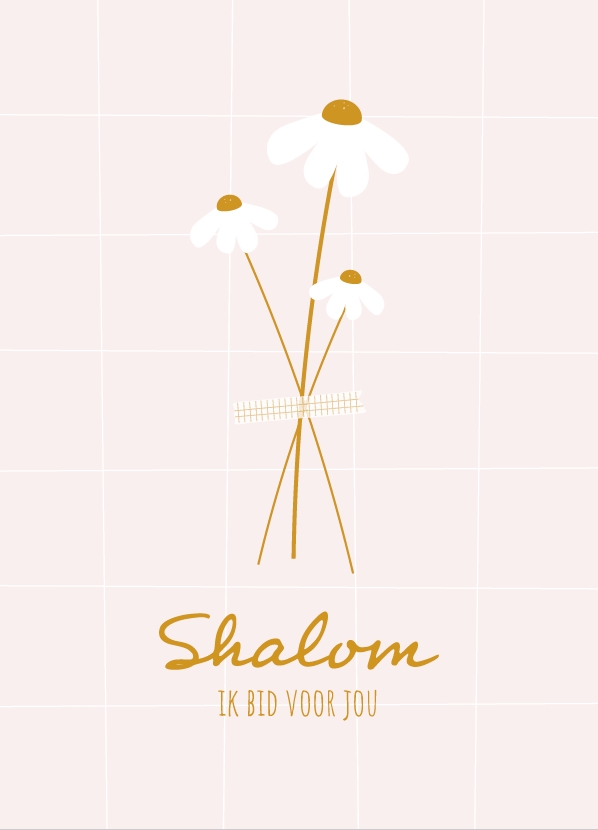 Shalom Ik bid voor jou