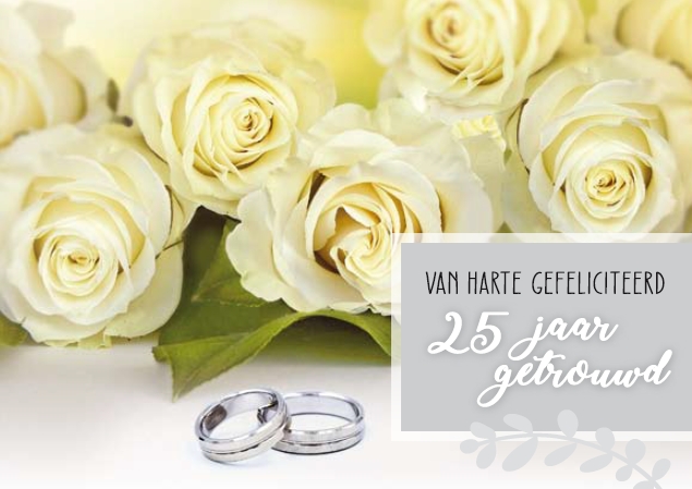 25 jaar getrouwd - 25 jaar getrouwd - Baaij Light Cards Webshop