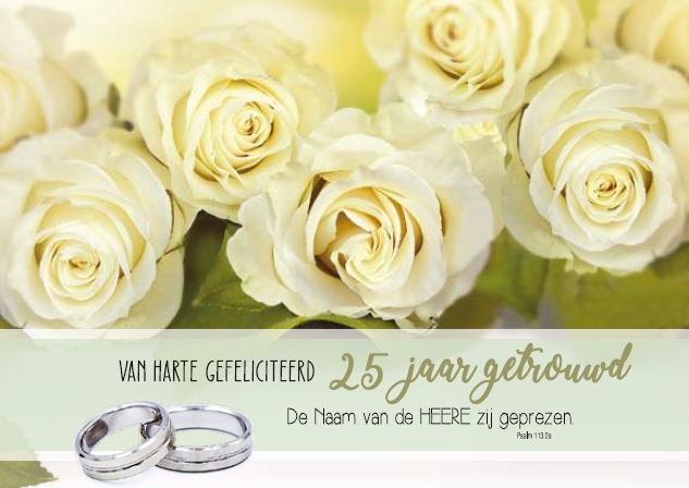 25 jaar getrouwd m/t - 25 jaar getrouwd - Baaij Light Cards Webshop