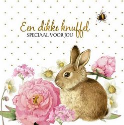 Een dikke knuffel