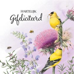 Gefeliciteerd