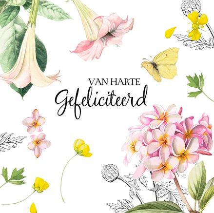 Gefeliciteerd